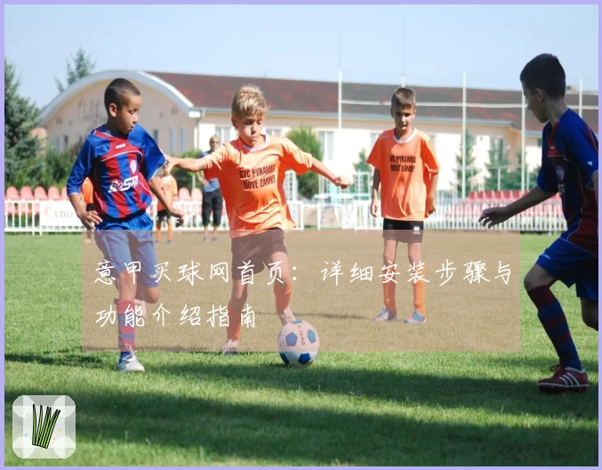 意甲买球网首页：详细安装步骤与功能介绍指南