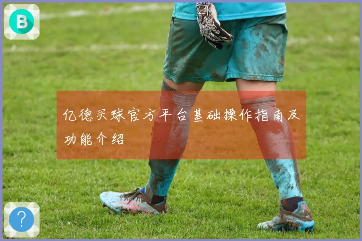 亿德买球官方平台基础操作指南及功能介绍